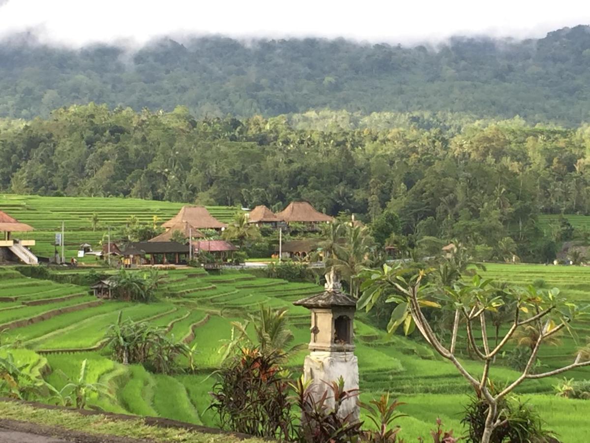 The Hidden Bali Inn Ubud Eksteriør bilde